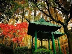 -中山公园