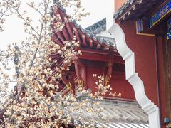 -长春观