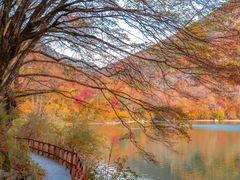 -叠溪松坪沟景区