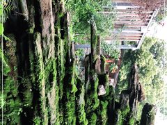 -凤来栖·净庭院·火锅(欧尚店)