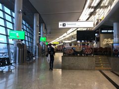 -谢列梅捷沃国际机场