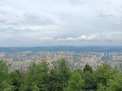 -长虫山生态公园风景林