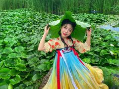 -前关湿地公园
