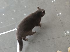 -贝利宠物医院·骨科·眼科·肿瘤转诊中心(南坪诊疗中心)