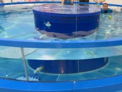 -雏芽婴幼儿游泳·小美医生小儿推拿(西村店)