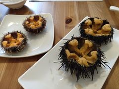 -海胆小馆(东北水饺·春柳店)