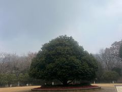 -灵谷景区
