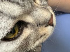 -美联众合24小时·皮肤科·外科·全科诊疗中心(华苑分院)