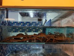 -碗中海·蒸汽海鲜·桑拿鸡(岭南天地店)