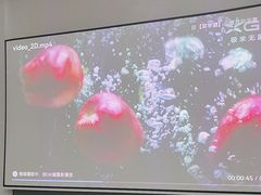 -XGIMI极米投影(壹方城店)