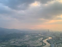 -瑞吉酒店·The Drawing Room闲逸廊·云端下午茶·夜奢Whiskey