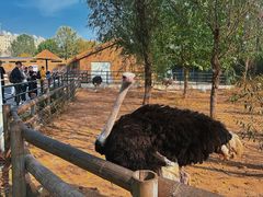 -大连森林动物园