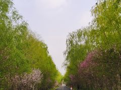-同里国家湿地公园