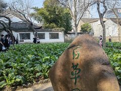 -绍兴鲁迅故里·沈园景区