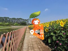 -迪茵湖田家舍生态农场