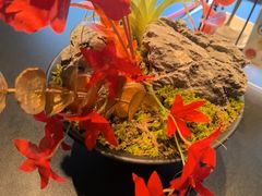 -炊江南·上海菜(国展华漕店)