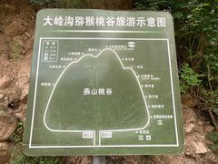 -大岭沟猕猴桃谷风景区