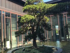 -上海崇明金茂凯悦酒店