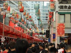 -越秀西湖花市(广州城市广场花卉店)