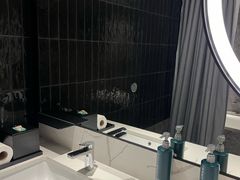 -新加坡乌节希尔顿酒店 (SG Clean)
