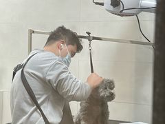 -悠尼宠物·独立低压伊珊娜洗护·美容·寄养(兰谷路店)