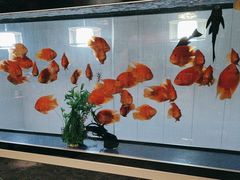 -臻享养生·SPA·影院式足道(汇臻店)