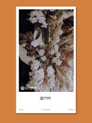 -花轿喜屋婚礼策划