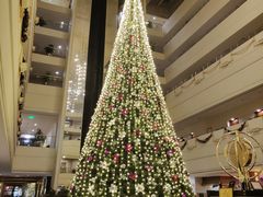 -天津燕园国际大酒店