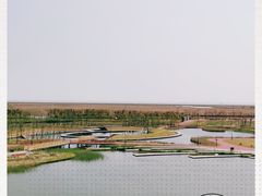 -春花秋色城市公园