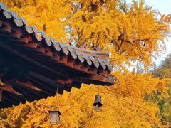 -西北轻工批发市场