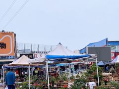 -中环花鸟鱼虫市场