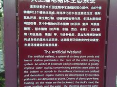 -成都市活水公园