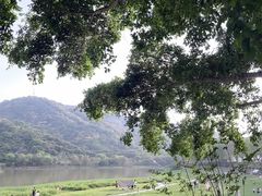 -风云岭森林公园