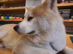 -YCHL Studios健身工作室(市二宫店)