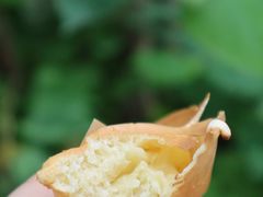 -易老大蛋烘糕(奎星楼总店)