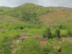 -济南马套将军山