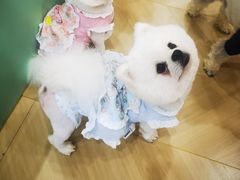-观音桥步行街