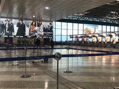 -米兰马尔彭萨国际机场