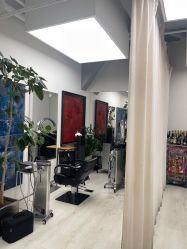 -Hair  Gallery