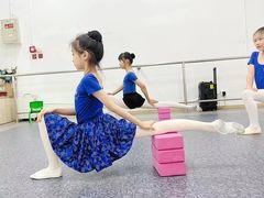 -快乐琴弦音乐舞蹈艺术教育中心(马连道校区)