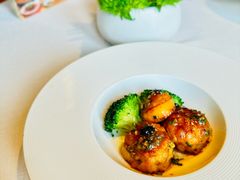 -三号黄浦会Canton Table