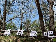 -洛阳白云山景区