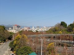 -福道