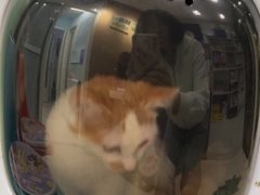 -纳吉亚猫专科动物医院博雅分院