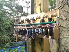 -南宫五洲植物乐园