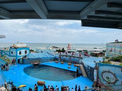 -海合安青岛极地海洋公园