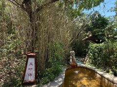 -徂徕山森林康养度假谷温泉