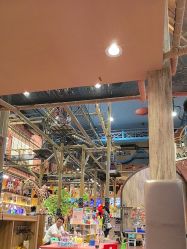 -卡通尼·Safari非洲探索乐园·生日会(金桥国际商业广场店)