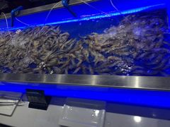 水产区-SEA西雅图海鲜自助餐厅(正义店)