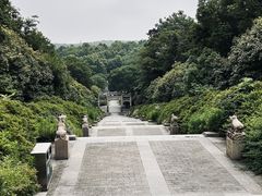 -宜兴龙背山森林公园